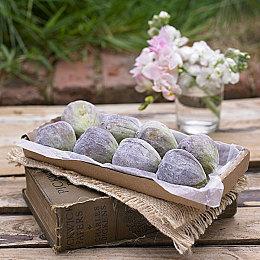 《生化危机Re：Verse》新预告 艾达王大战怪物